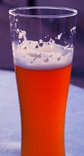 ölglas, fylld med öl och skum